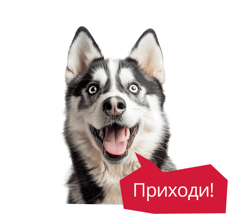 Приглашайте друзей